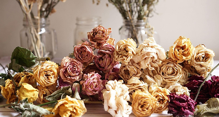 Bulaklak