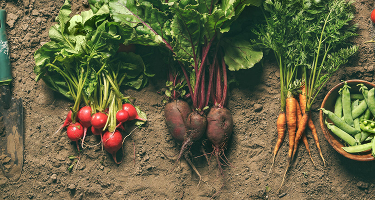 Mga Produktong Pang-agrikultura