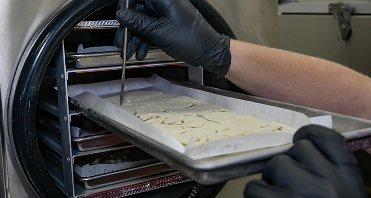 Proseso ng Freeze-Drying