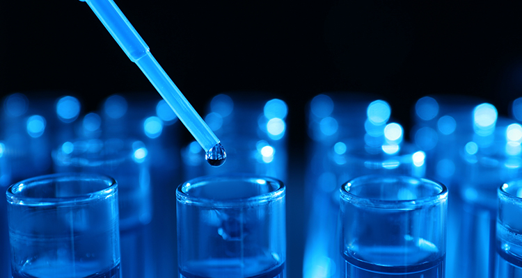 Na-customize na Pananaliksik sa Freeze-drying