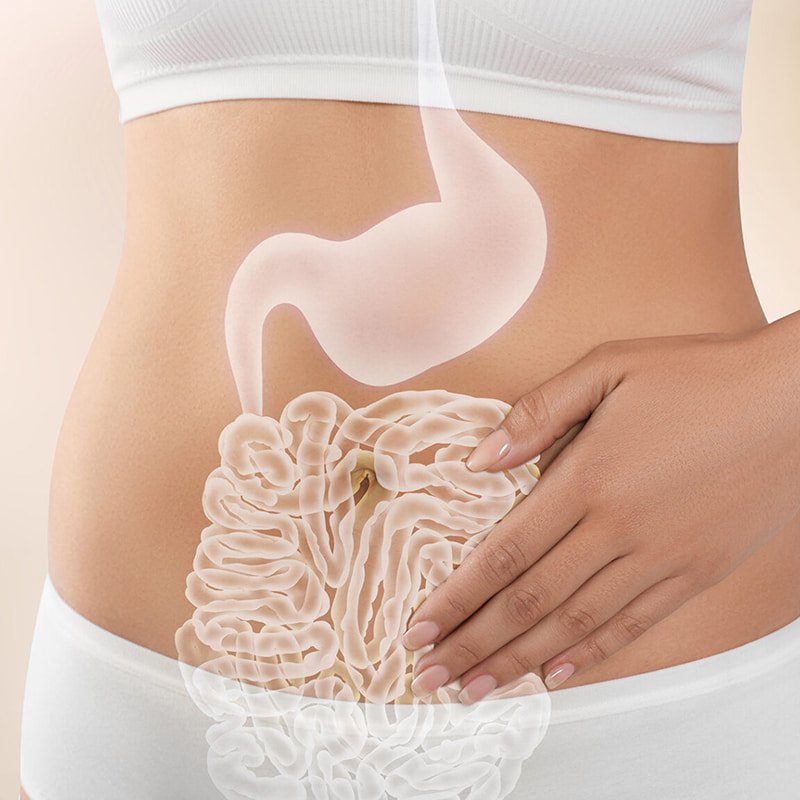 Microencapsulation Machine para sa Gastrointestinal Health Freeze-Dried Products