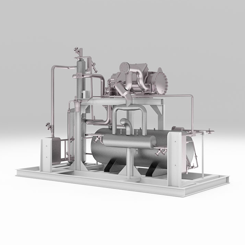 Tradisyunal na Chinese Medicine Vacuum Freeze Dryer